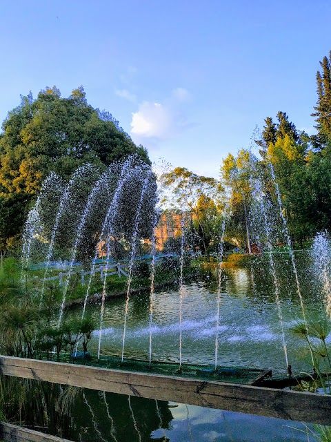 Parque de Los Novios